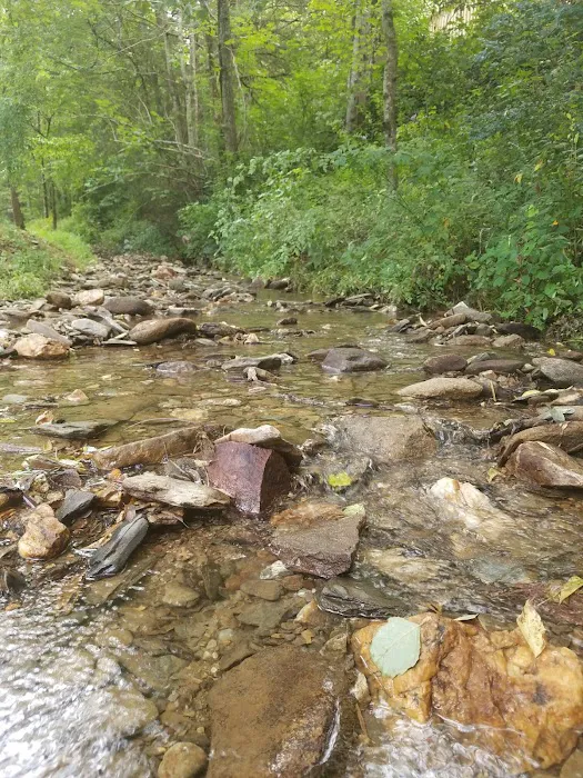 Cosby Run CAMPGROUND/ RV PARK Picture 1