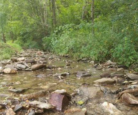 Cosby Run CAMPGROUND/ RV PARK