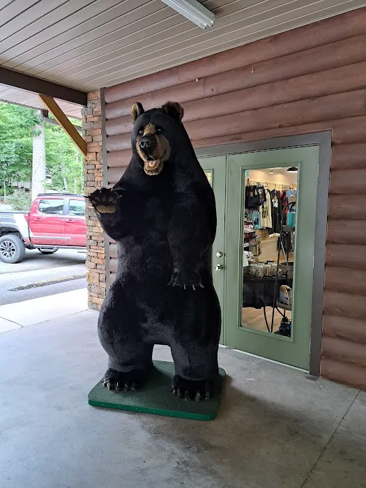 Gatlinburg East / Smoky Mountain KOA Holiday Picture 9