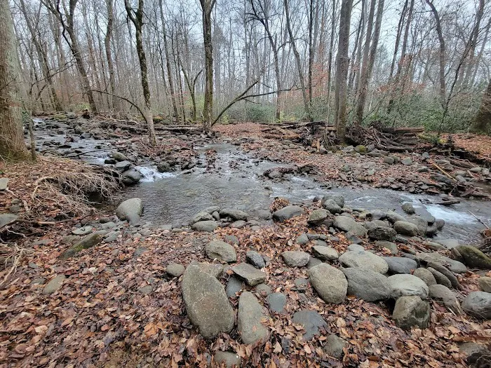Gatlinburg East / Smoky Mountain KOA Holiday Picture 10