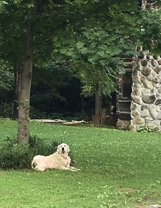 Skip A Stone Farm Picture 5
