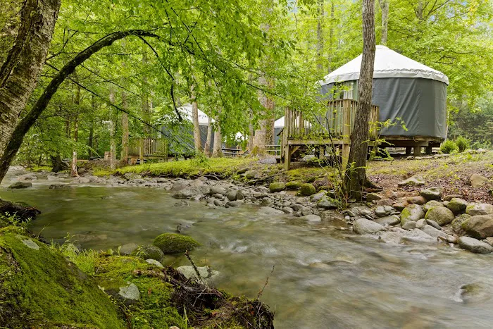 Roamstead Smoky Mountains Campground Picture 9