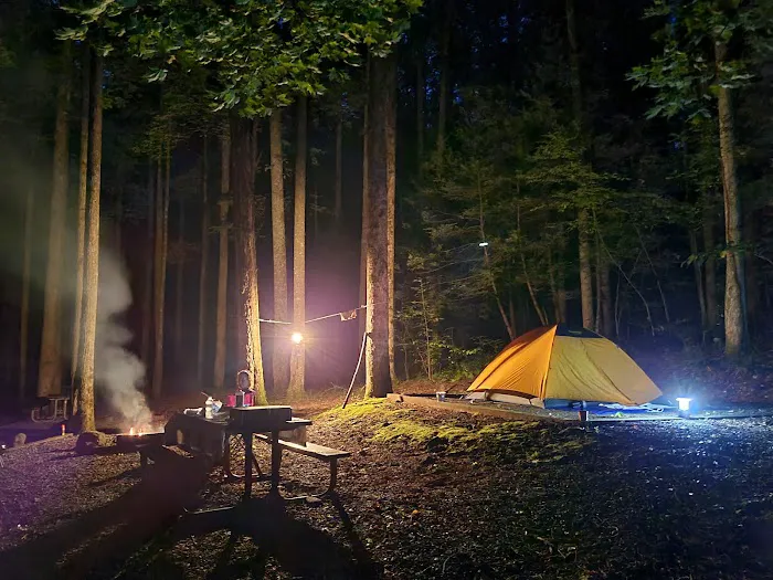 Cosby Campground Picture 2