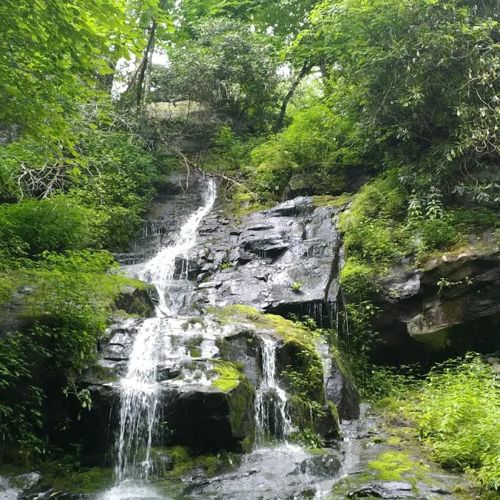 Cosby Campground Picture 6