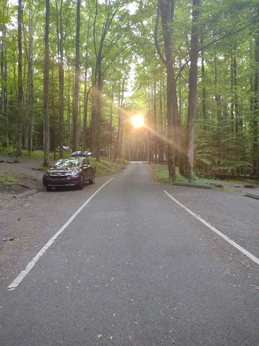 Cosby Campground Picture 4