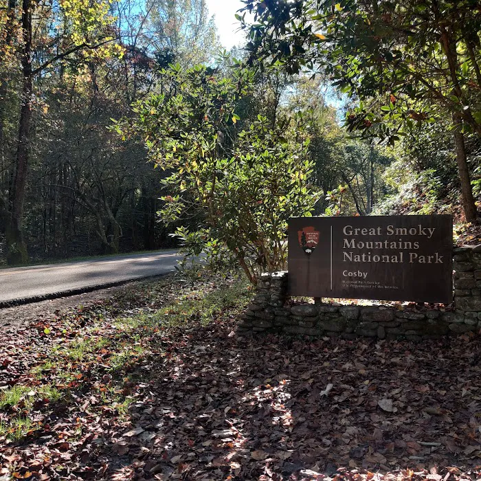 Cosby Campground Picture 8