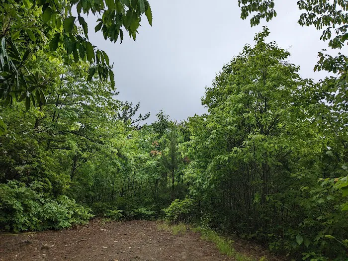 Cosby Campground Picture 10