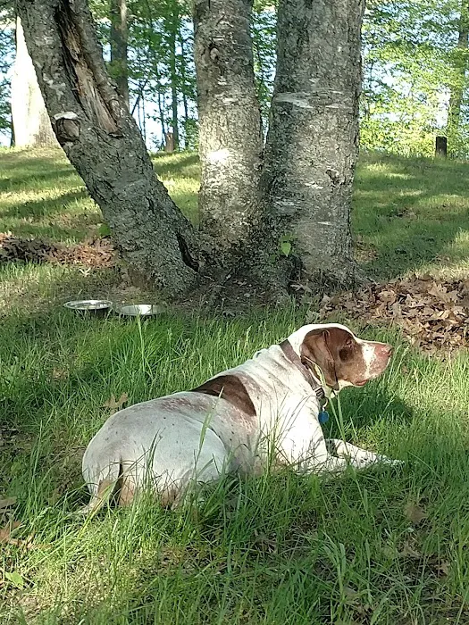 Tubbs Island Picture 6