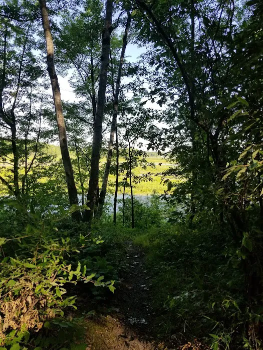 Tubbs Island Picture 8