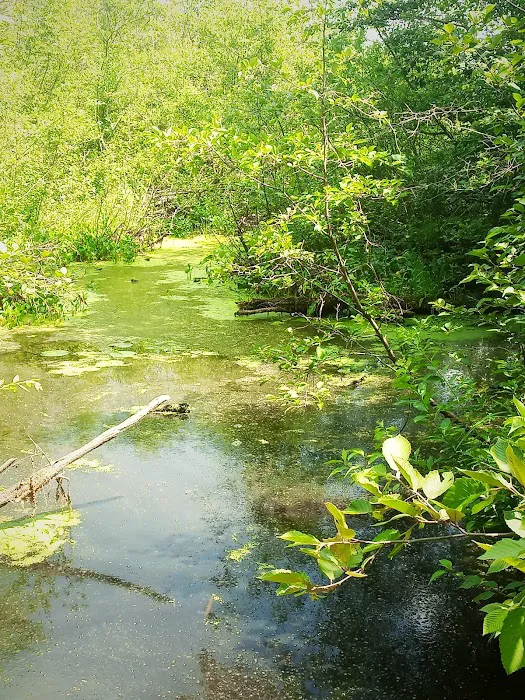 Merrill–Gorrel County Park Picture 6