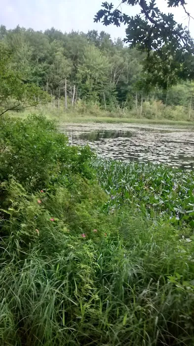 Merrill–Gorrel County Park Picture 9
