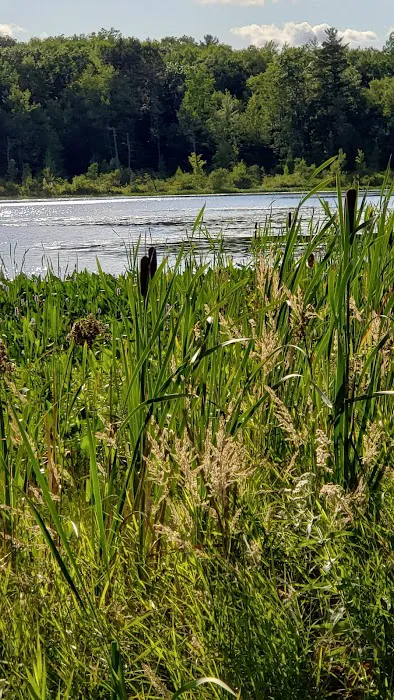 Merrill–Gorrel County Park Picture 8