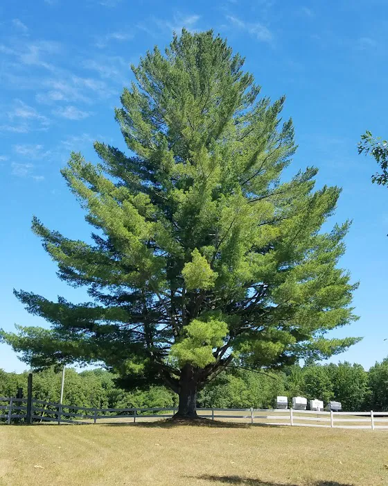 Fraternal Order of Eagles Picture 4