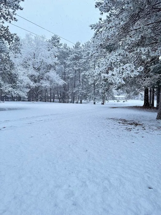 Gray's Riverside Campground Picture 7