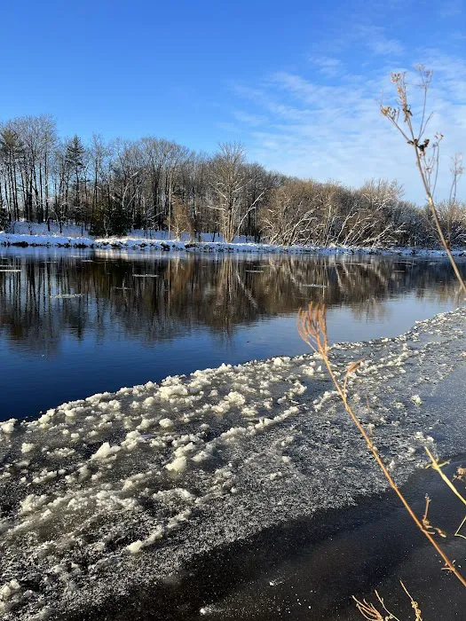 Gray's Riverside Campground Picture 6