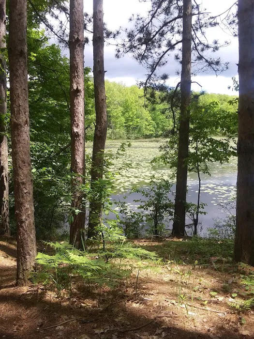 Haymarsh State Game Area Campground Picture 1