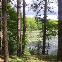 Haymarsh State Game Area Campground ico