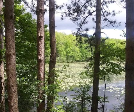 Haymarsh State Game Area Campground