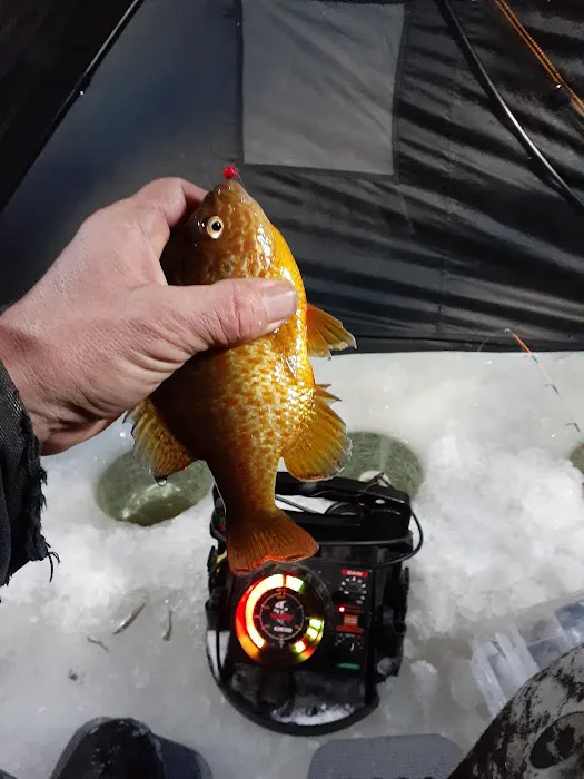 Haymarsh State Game Area Campground Picture 9