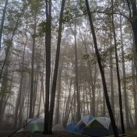 Boone Campsite - Camp Rotary ico