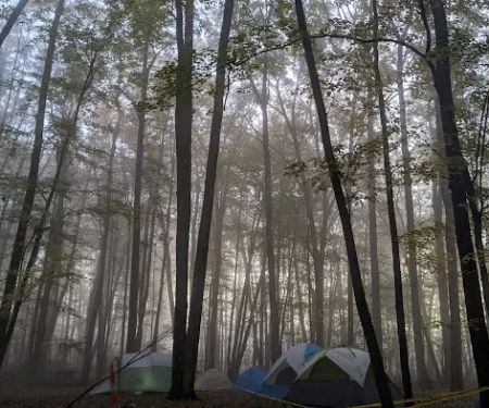 Boone Campsite - Camp Rotary