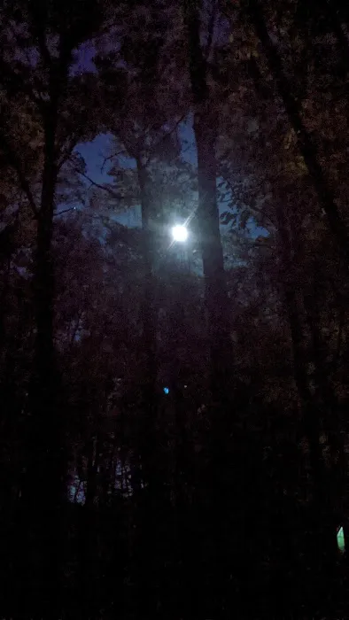 Boone Campsite - Camp Rotary Picture 4