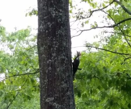 Dodge City Campground LLC