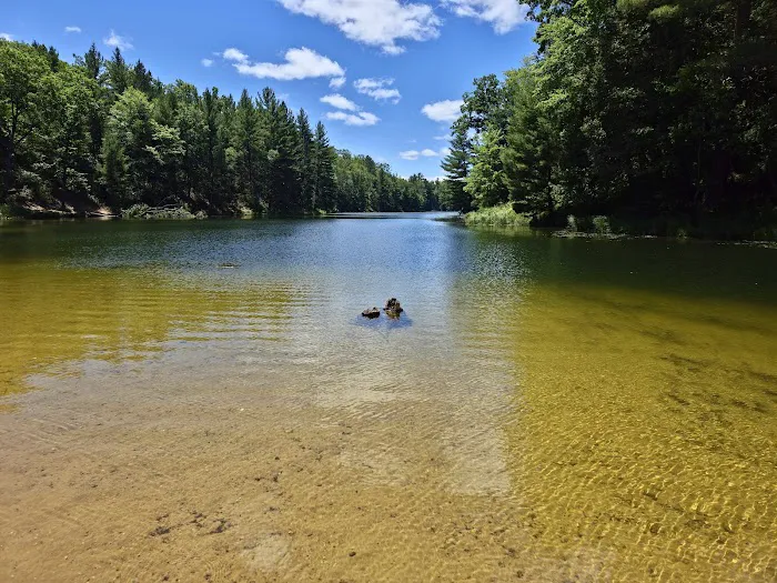 Trout Lake State Forest Campground Picture 3