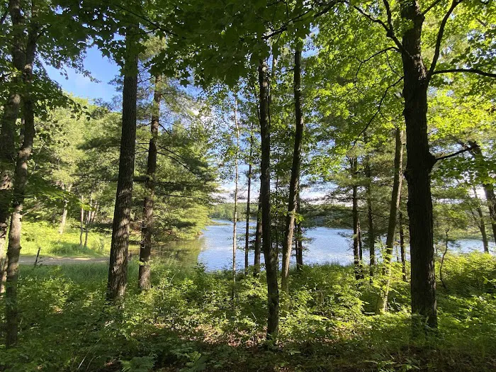 Trout Lake State Forest Campground Picture 4