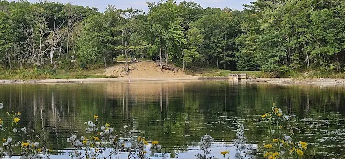 Trout Lake State Forest Campground Picture 5