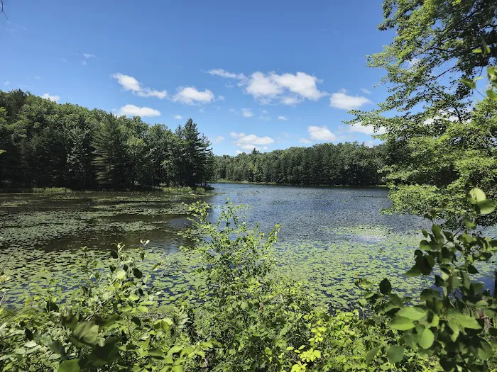 Trout Lake State Forest Campground Picture 10
