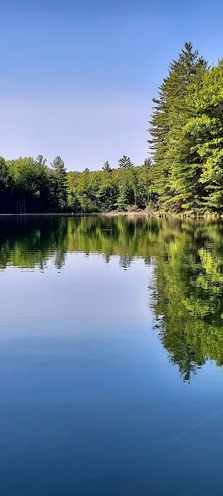 House Lake State Forest Campground Picture 2