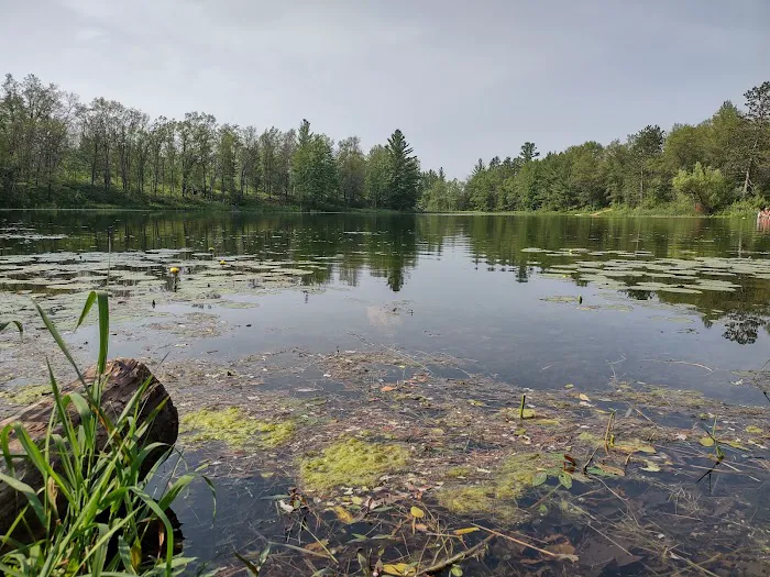House Lake State Forest Campground Picture 4
