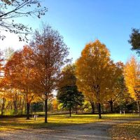 Countryside Campground and Cabins ico