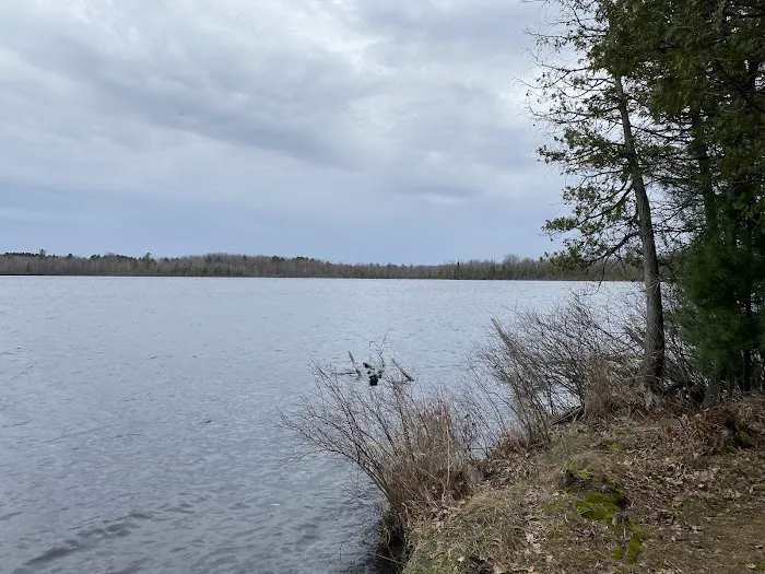 Mud Lake State Forest Campground Picture 5