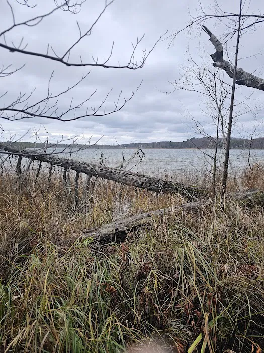 Mud Lake State Forest Campground Picture 6