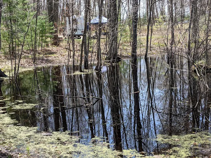 Mud Lake State Forest Campground Picture 8