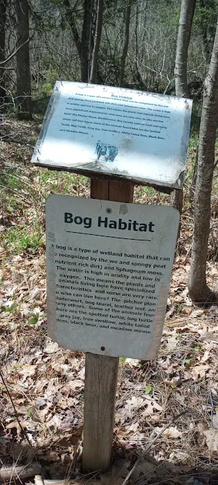 Mud Lake State Forest Campground Picture 7