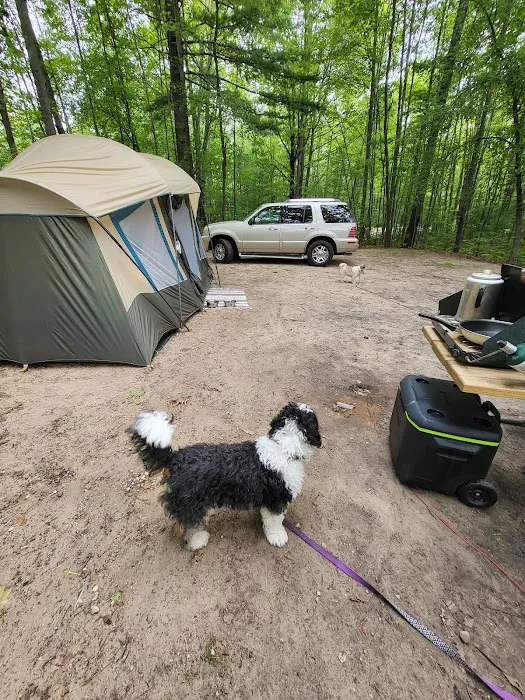 Mud Lake State Forest Campground Picture 10
