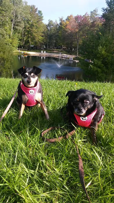 Greenwood Campground Picture 7