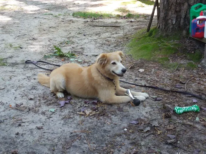 Greenwood Campground Picture 10