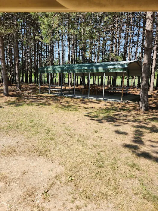 Loranger Pines RV Park Picture 3