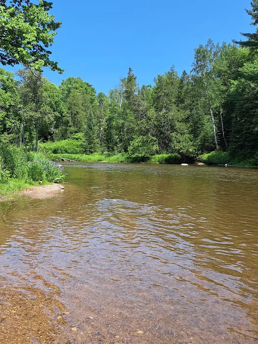 Rifle River Campground & Canoe Livery Picture 3
