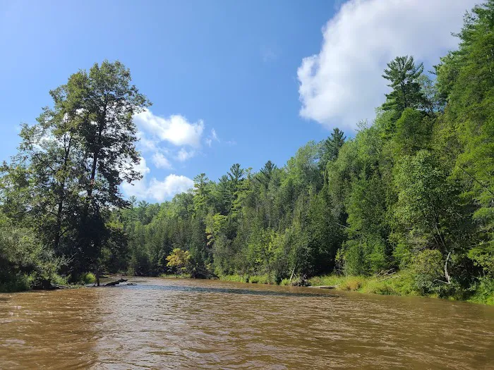 Rifle River Campground & Canoe Livery Picture 5