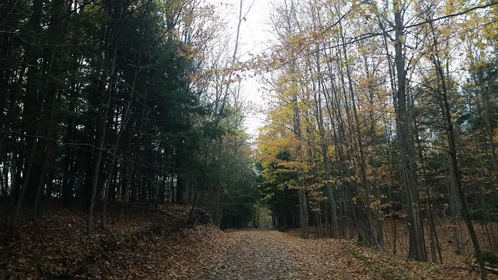 Riverbend Men's Camp Picture 6