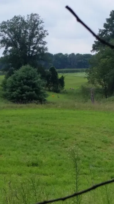 Riverbend Men's Camp Picture 5