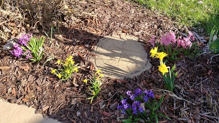 Windy Hill Campground Picture 10