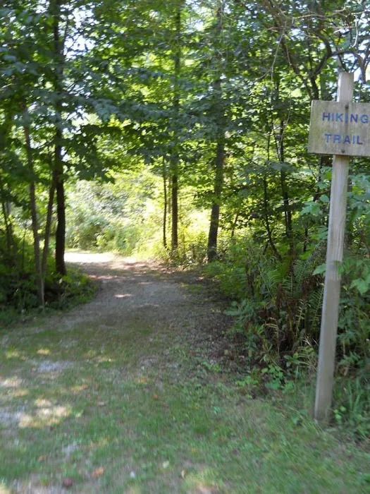 Wagener County Park Picture 1