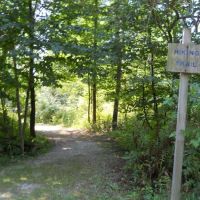 Wagener County Park ico