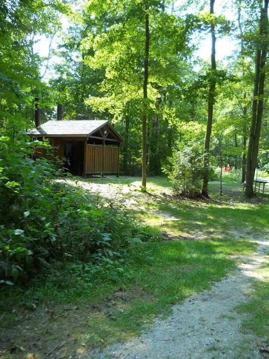 Wagener County Park Picture 8